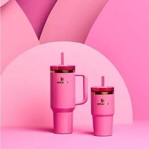 Stanley x Target Glinda Wicked tumblr 40oz